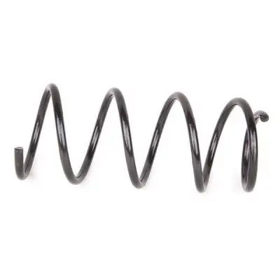 Пружина передней подвески BYD F3/F3R/G3/F3NEW 