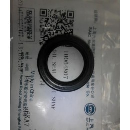 Сальник первичного вала MG 350/5