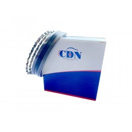 Кільця поршневі 0.25 (CDN) 1.5L BYD F3 10149438-00-025 473QA-1004021BA 10149438-00-025 Кільця поршневі 0.25 (CDN) 1.5L BYD F3 10149438-00-025 473QA-1004021BA 10149438-00-025
